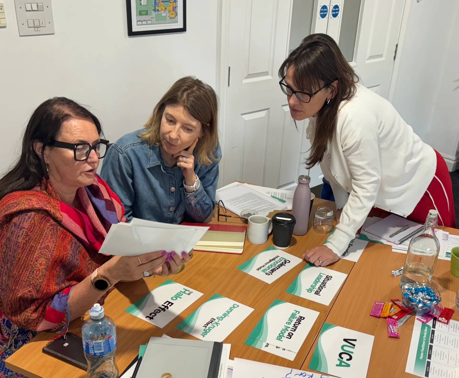 Master Practitioner coaches in training